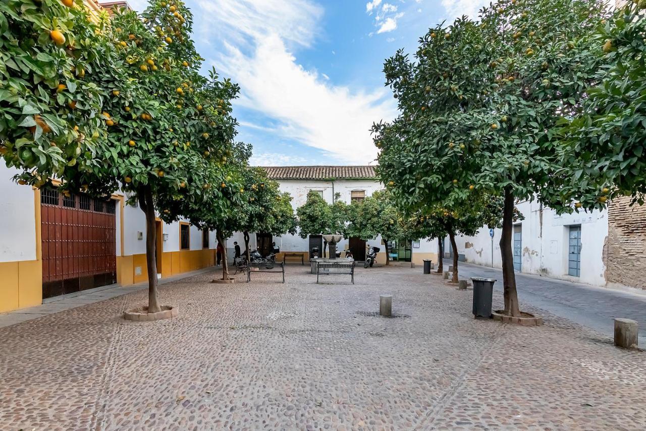 Apartamento Bhost - Regina V Córdoba Exterior foto